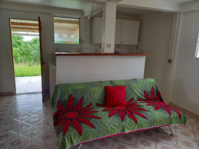 Grand T3 vue sur mer